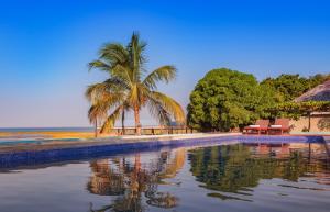 un complejo con piscina con palmeras y playa en Blue Waters by Serendib, en Senga