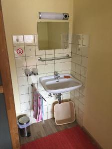 a bathroom with a sink and a mirror at Gästehaus Erna Meier in Bayerisch Eisenstein