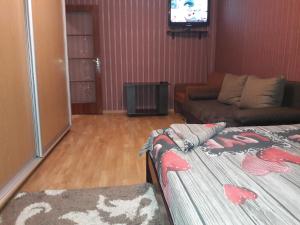 a living room with a bed and a tv at Апартаменты в центре in Chernihiv
