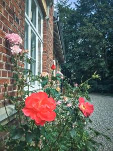Zahrada ubytování Rotzowlund BnB