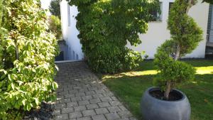 Φωτογραφία από το άλμπουμ του Ferienwohnung Schwartz στο Σίνγκεν