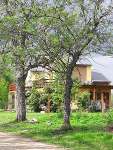 zwei Bäume im Gras neben einem Haus in der Unterkunft Cabañas Vientos del Sur in Villa Yacanto