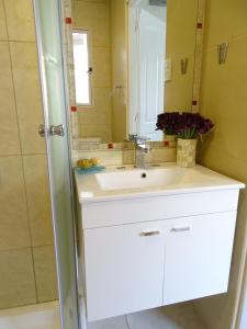 a bathroom with a white sink and a mirror at Giova Apart Salta in Salta