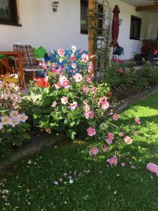 ビヒルバッハにあるAppartements Wackerの芝生のピンクの花々が咲く庭園