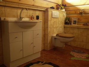 uma casa de banho com um lavatório e um WC em Dvor Magduška em Osturňa