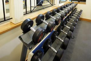 Fitness centrum a/nebo fitness zařízení v ubytování The Rembrandt