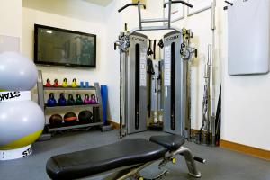 Fitness centrum a/nebo fitness zařízení v ubytování The Rembrandt