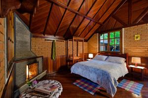 a bedroom with a bed in a room with a fireplace at Pousada do Rio Maua in Visconde De Maua