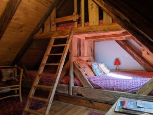 ein Schlafzimmer mit einem Etagenbett mit einer Leiter in der Unterkunft Gite Du Bois De L'ours in Orcières
