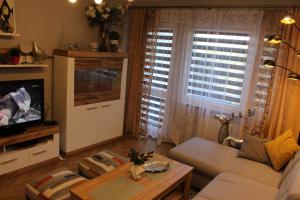 TV a/nebo společenská místnost v ubytování Apartament Euro 1 Bytom