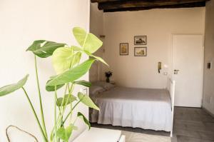 - une chambre avec un lit et une grande plante verte dans l'établissement Domu 'e Casteddu, à Cagliari