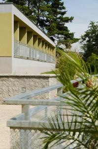 Zahrada ubytování Hotel Rakovec