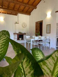 een kamer met een tafel en stoelen en een plant bij La casetta in Orte
