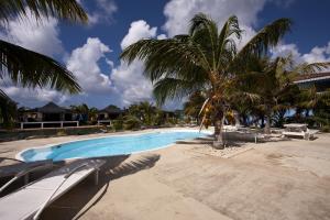 uma piscina com uma palmeira ao lado em Aqua Breeze Apartment em Kralendijk