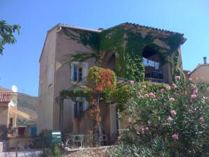 a building with ivy growing on the side of it at Maison de village in Moltifao