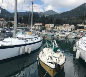 a group of boats docked in a harbor at Eros Beach Hotel in Benitses
