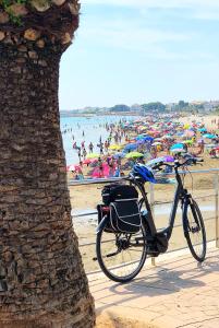 a bike parked next to a tree next to the beach at lovely apartment beside the Alcossebre beach in Alcossebre