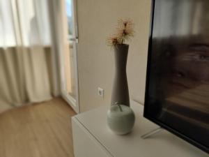 TV a/nebo společenská místnost v ubytování An der Wassermühle