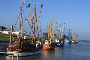 un grupo de barcos están atracados en el agua en Wrede-Hof, en Kappeler Niederstrich