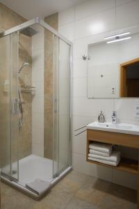 La salle de bains est pourvue d'une douche et d'un lavabo. dans l'établissement Gasthof Pension Kettler, à Oberasbach
