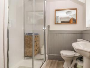 a bathroom with a shower and a toilet at Dove Cottage in Abergele +18 photos