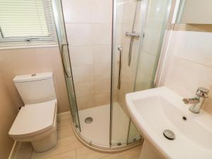 a bathroom with a shower and a toilet and a sink at Willow Lodge in Windermere +10 photos