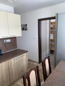 A kitchen or kitchenette at Apartament TT10 Botanicka