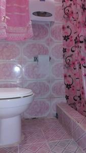 a pink bathroom with a toilet and a shower at Casa Krisdalia in Moyogalpa