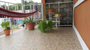 Casa Krisdalia外面的花园