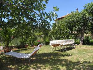 ビビニェにあるApartments Zvone - 100 m from seaの芝生の中にテーブルと椅子が置かれた庭園
