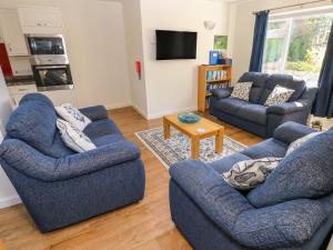 uma sala de estar com dois sofás azuis e uma televisão em Little Freestone em Kilgetty