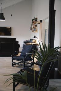 a living room with two chairs and a plant at Hugo & Carters Backpackers & Motel in Tauranga