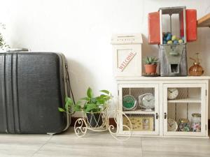 a black suitcase sitting next to a cabinet with a plant at Dream Lodge in Singapore