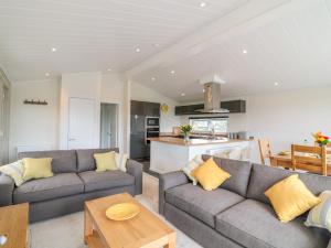 a living room with two couches and a kitchen at Birch Lodge in Newton Abbot