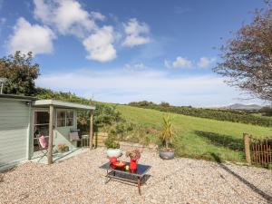a small garden with a table and a shed at Songbird Hideaway in Pwllheli