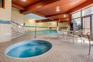 The swimming pool at or close to Quality Inn & Suites