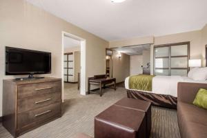 Televizorius ir (arba) pramogų centras apgyvendinimo įstaigoje Comfort Inn & Suites Red Deer