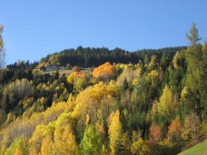 Príroda v okolí apartmánu
