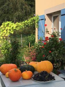 a bunch of pumpkins sitting on a table at La Mésange bleue in Saint-Barthélemy