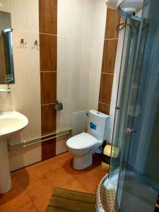 uma casa de banho com um WC, um lavatório e um chuveiro em Almaz-Plus em Poltava