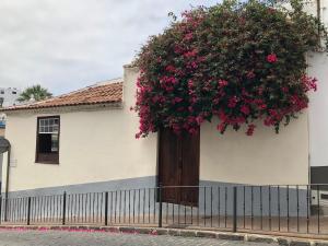 Zdjęcie z galerii obiektu Apartamento La Penca 3 Garachico w mieście Garachico