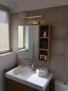 a bathroom with a sink and a mirror and a toilet at Villa L'Amiraute in Agde