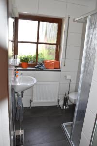 La salle de bains est pourvue d'un lavabo et de toilettes. dans l'établissement Heidi´s Häuschen, à Schollbrunn
