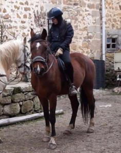 CovaneraにあるHotel Rural Aguazulの褐色馬に乗っている女
