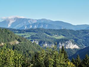 Elle offre une vue sur une vallée avec des arbres et des montagnes. dans l'établissement Waldnest am Semmering, à Semmering