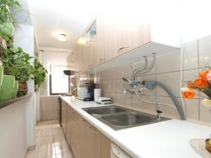 Kuchnia lub aneks kuchenny w obiekcie Apartment Vodnjan 1123