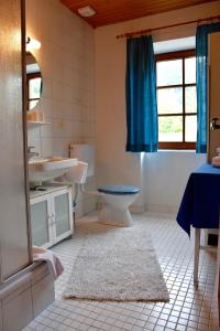 La salle de bains est pourvue de toilettes et d'un lavabo. dans l'établissement Sport Aktiv Pension Spanner - Tauplitz, à Bad Mitterndorf