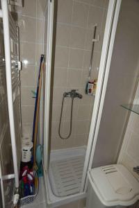 a small bathroom with a shower and a toilet at Casa Bohinj in Bohinj