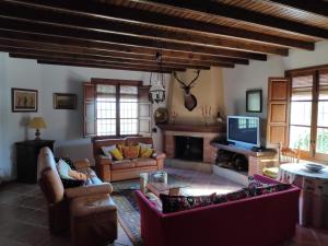 uma grande sala de estar com sofás e uma televisão em Cortijo El Arrejadero em Villanueva del Rosario