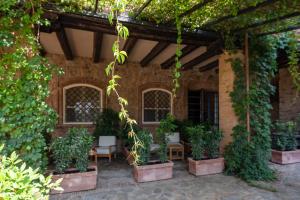 un patio con un mucchio di piante in vasi di Fattoria Pian Di Rocca a Castiglione della Pescaia